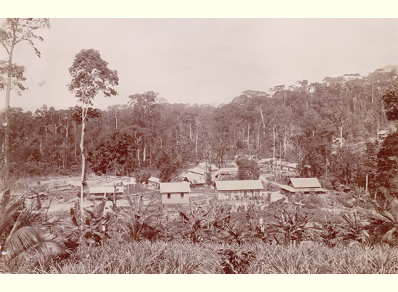 From camp to Mil Site (No 1 Obuassi) May 1901