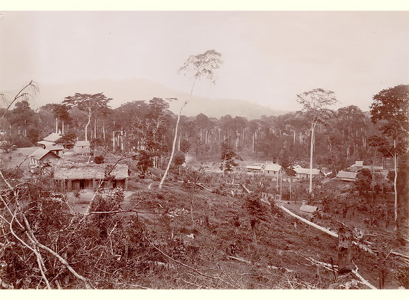 Looking north from sanitorium over camp