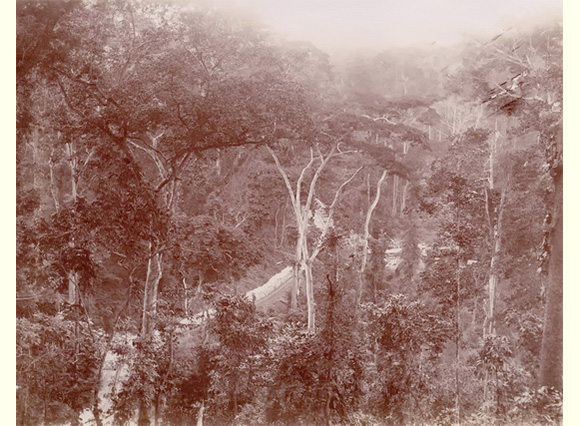 Sansu from the cut, May 1901 - Scaled